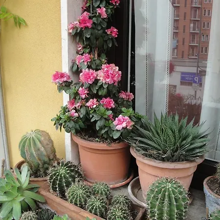 Via Sebino アパート ミラノ